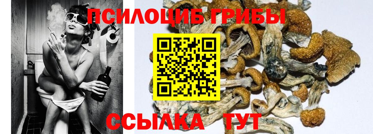 Галлюциногенные грибы Psilocybe  Вход с VPN  как найти закладки  Кириши 