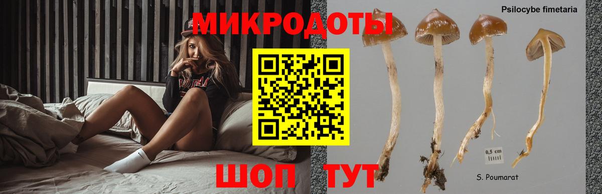 Псилоцибиновые грибы Psilocybine cubensis Кириши